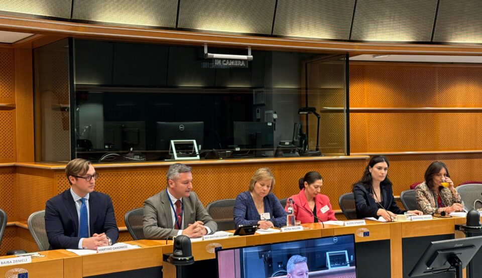 Kristian Vigenin organised a conference on digital solutions to help patients in Europe