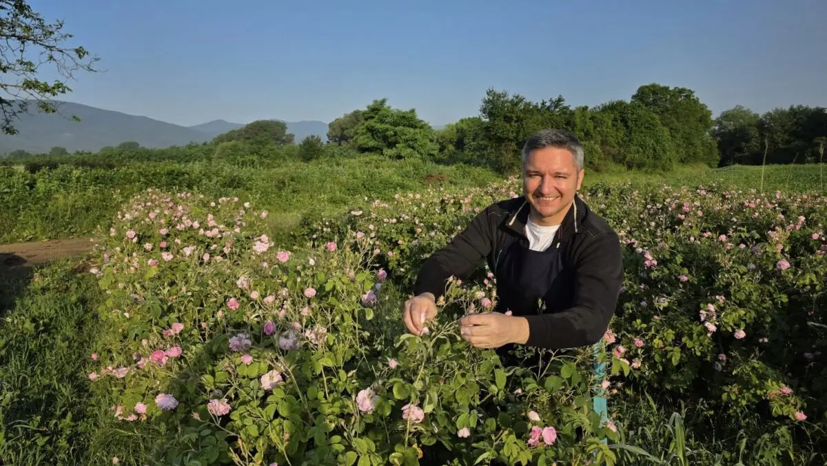 Kristian Vigenin with a commitment to solving the problems of rose growers - photo 4