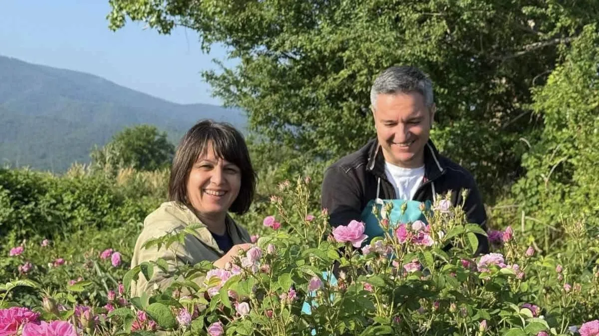 Kristian Vigenin with a commitment to solving the problems of rose growers