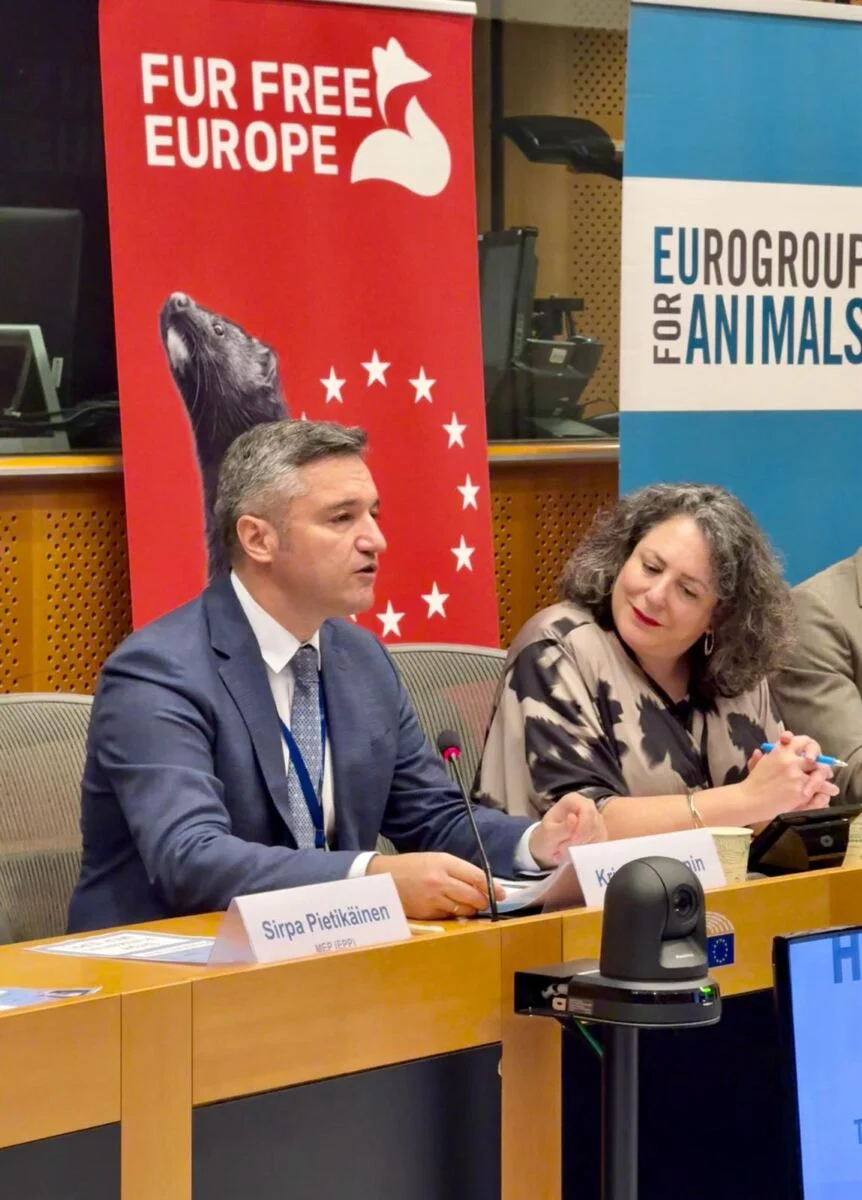Vigenin: A full ban on breeding animals for luxury fur is needed - photo 5