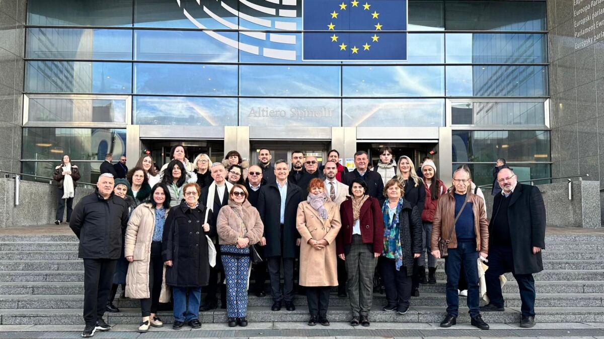 The BSP audit commission visited Brussels at Kristian Vigenin’s invitation