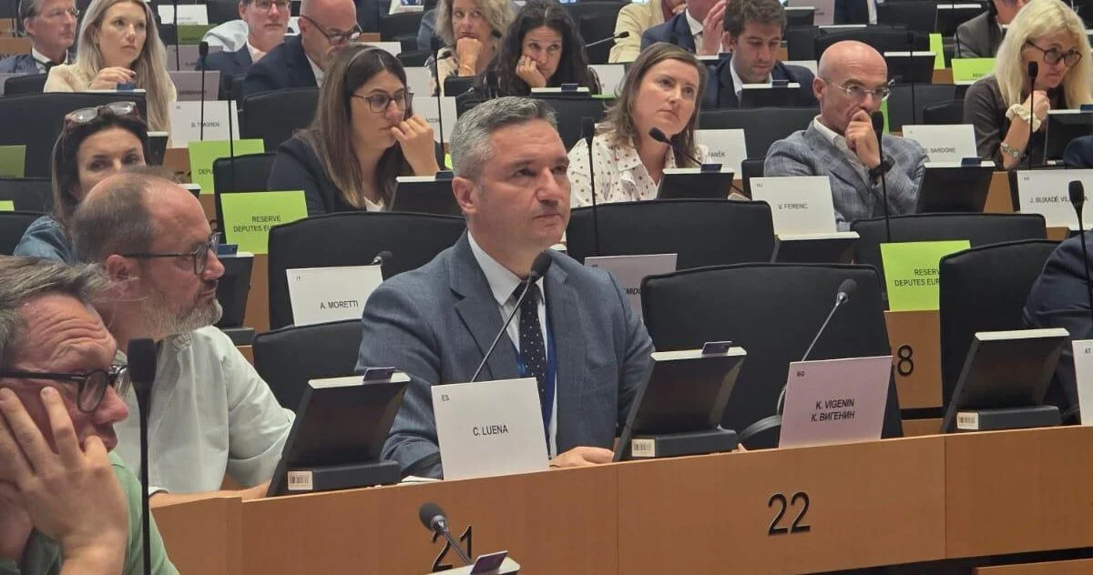 Vigenin: Europe must turn research into industrial strength