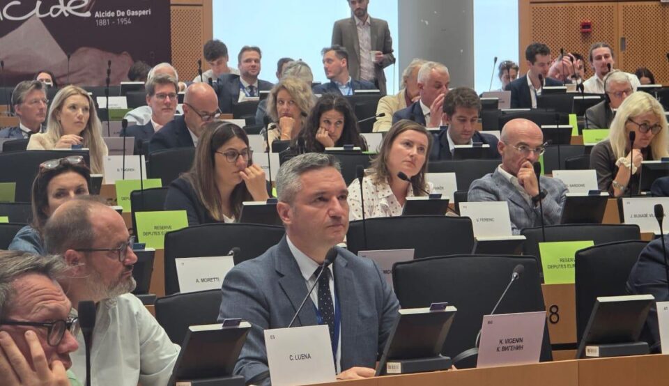 Vigenin: Europe must turn research into industrial strength